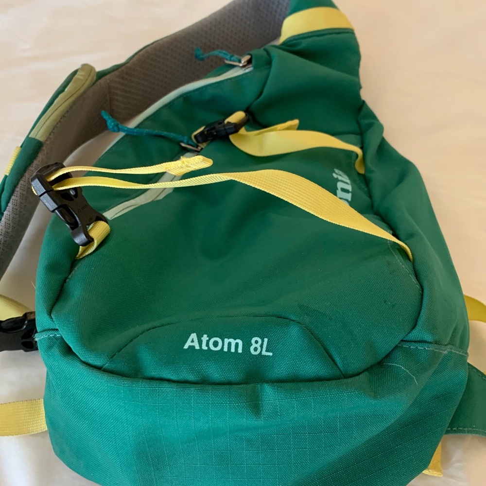 Patagonia Atom Sling